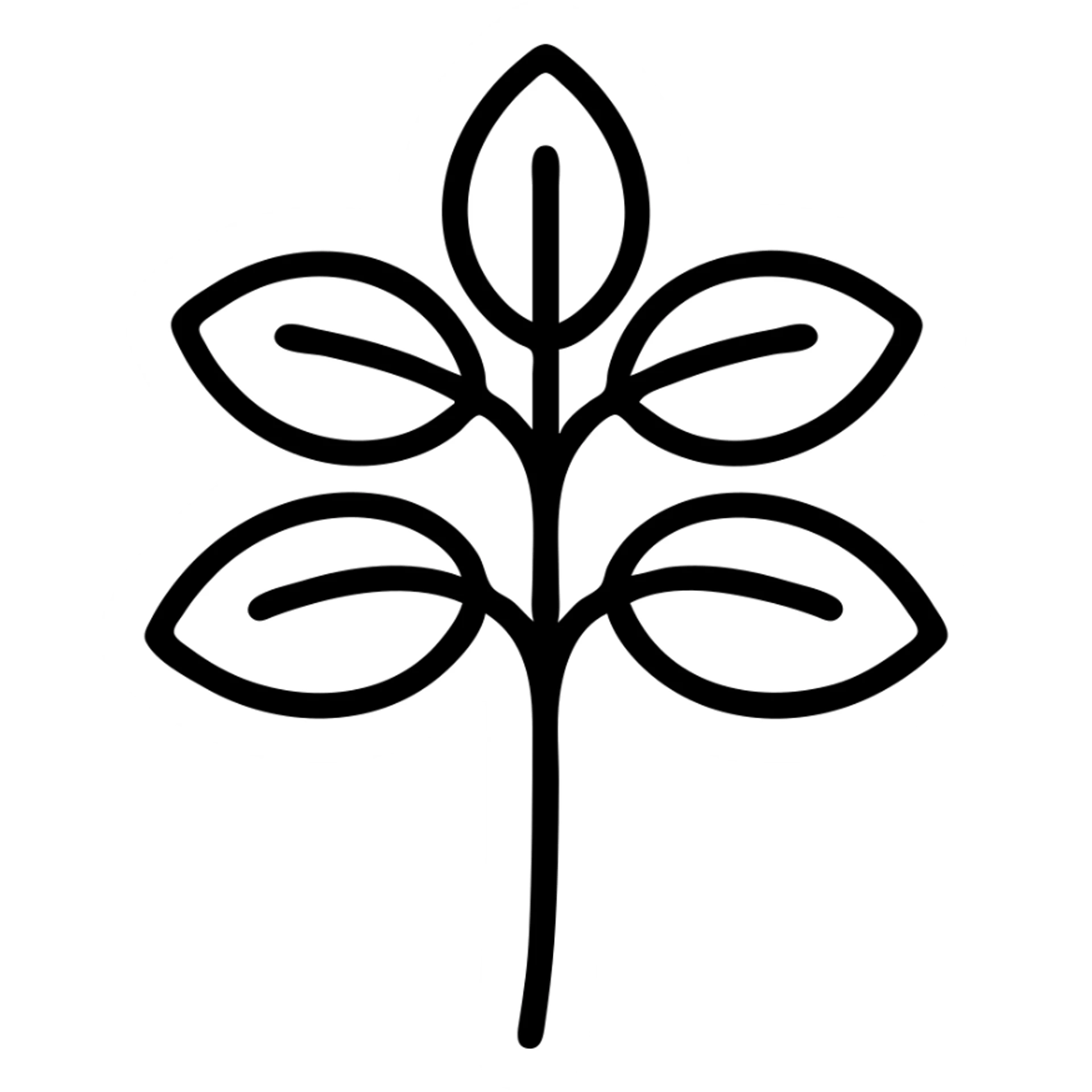 Basil herb with oval-shaped leaves on a stem sticker