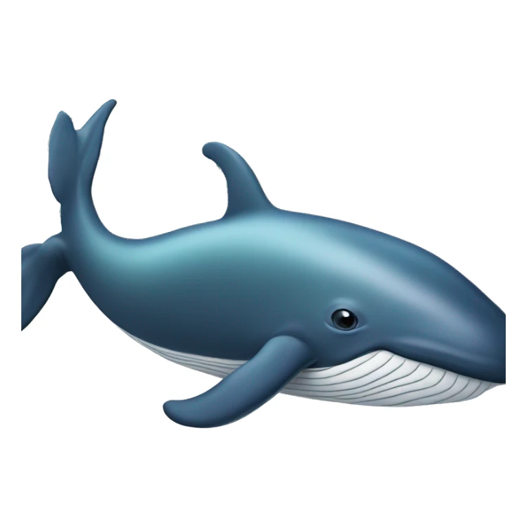 Dollar bill with a whale on the front sticker