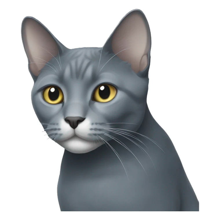 Tall large russian blue cat with white patch of hair on chest sticker