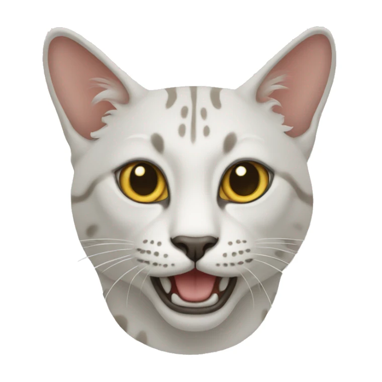 Sacred Cat of Burma sticker