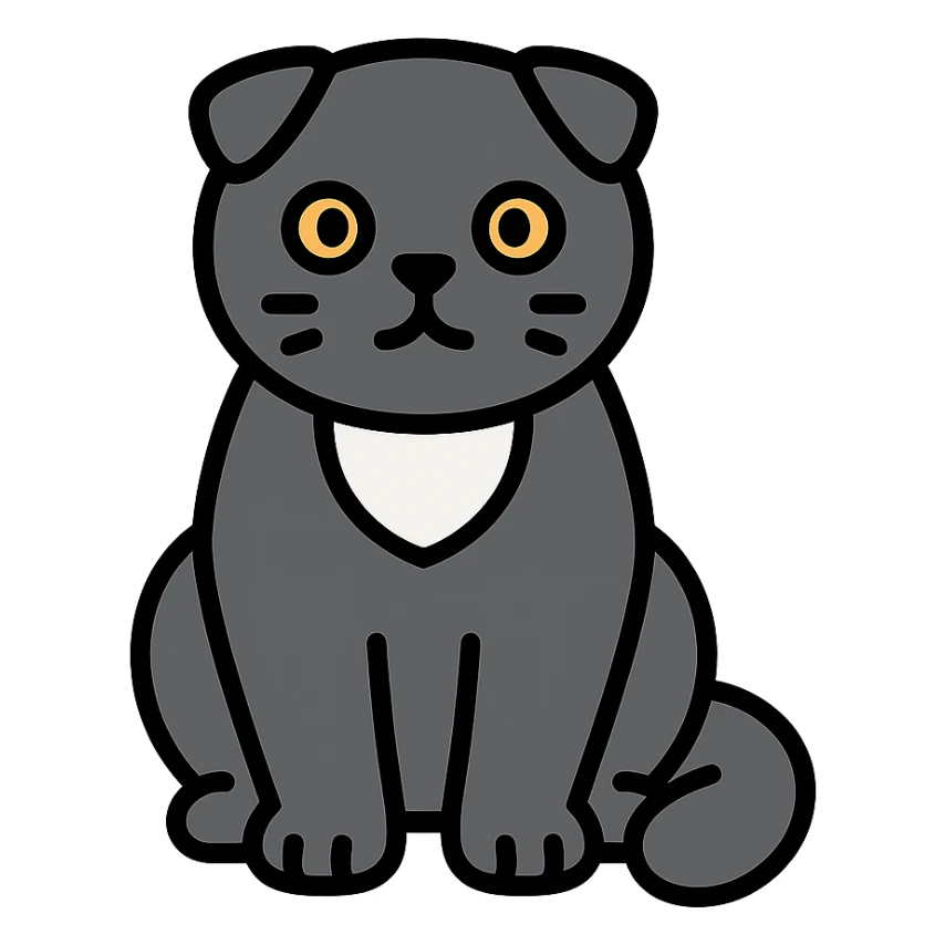 black Scottish fold cat with white spot on the chest sticker