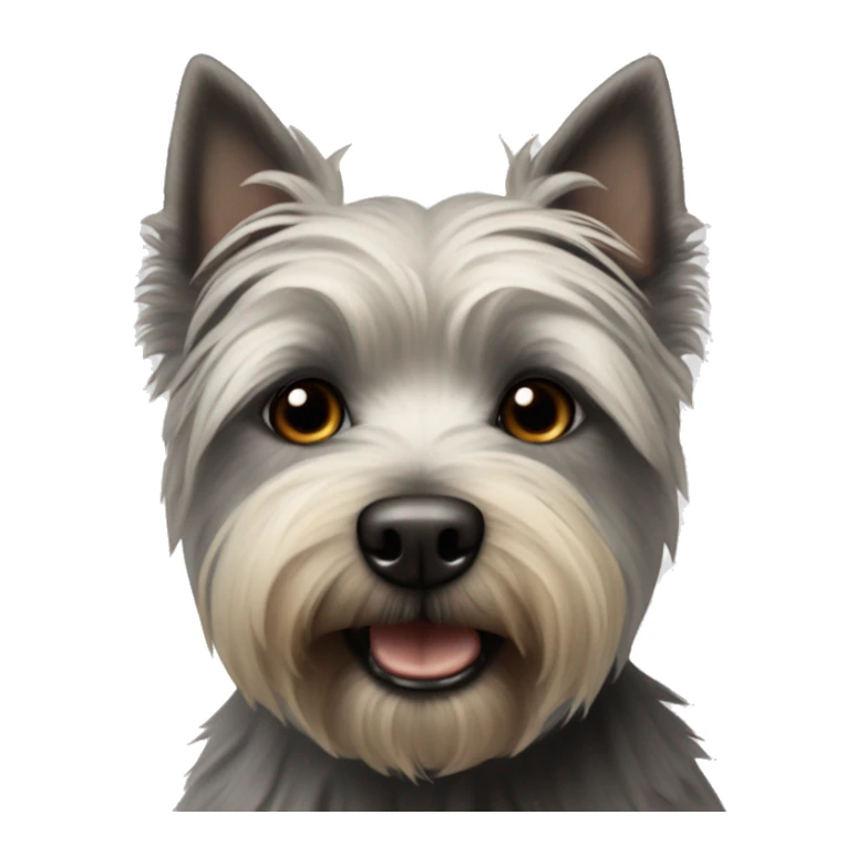 Highland Terrier schwarz grau mit braunen Augen  sticker