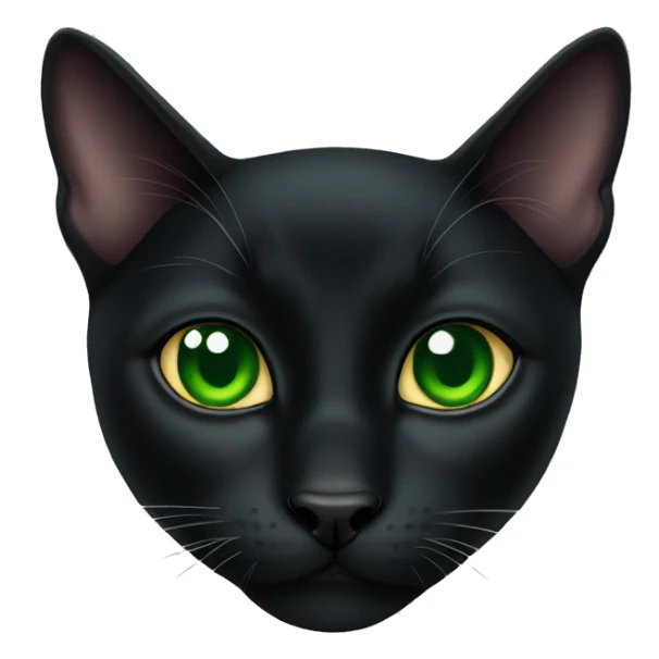 bombay black cat green eyes sticker