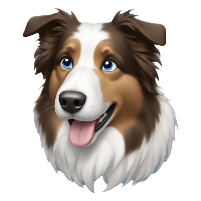 blue-eyes-bordercollie-bluemerle sticker