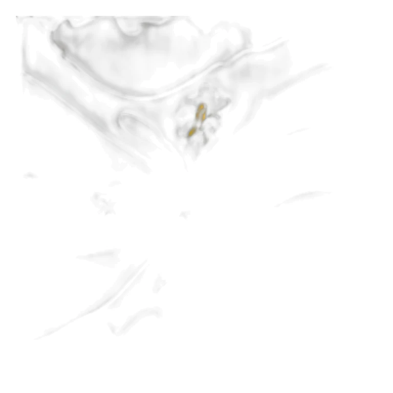 Drapeau de l’île corse en France sticker