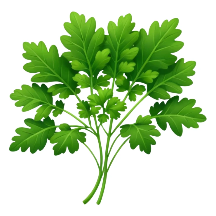 cilantro sticker