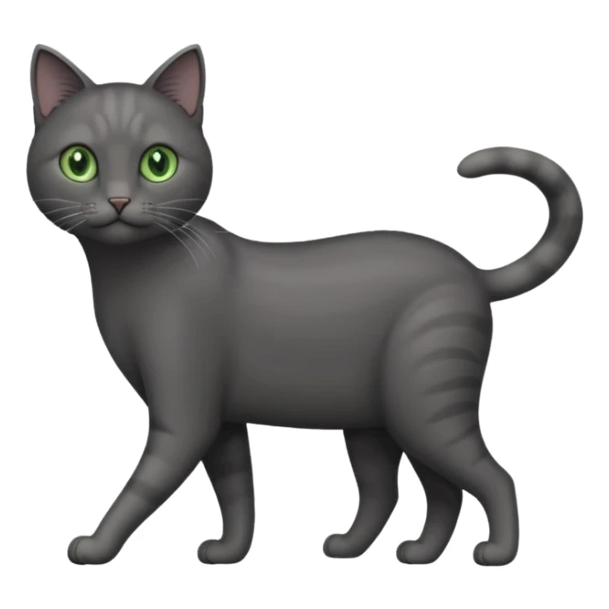 full body gorgeous solid dark grey cat with green eyes, white paws and white whiskers walking sticker