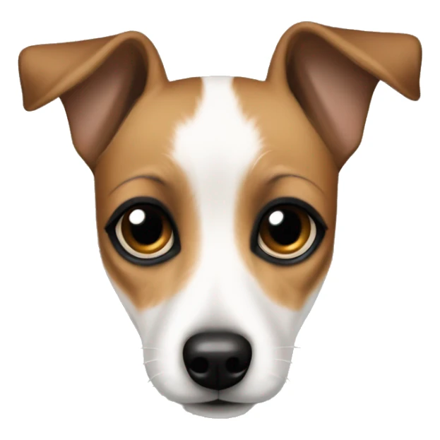 Small jack russel terrier with big dolly eyes, and as if a black eye liner on eyes sticker
