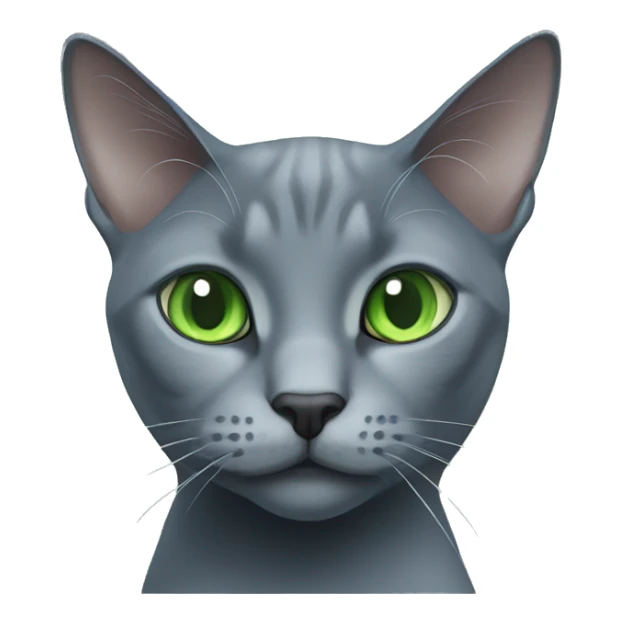 cat russian blue with green eyes sticker