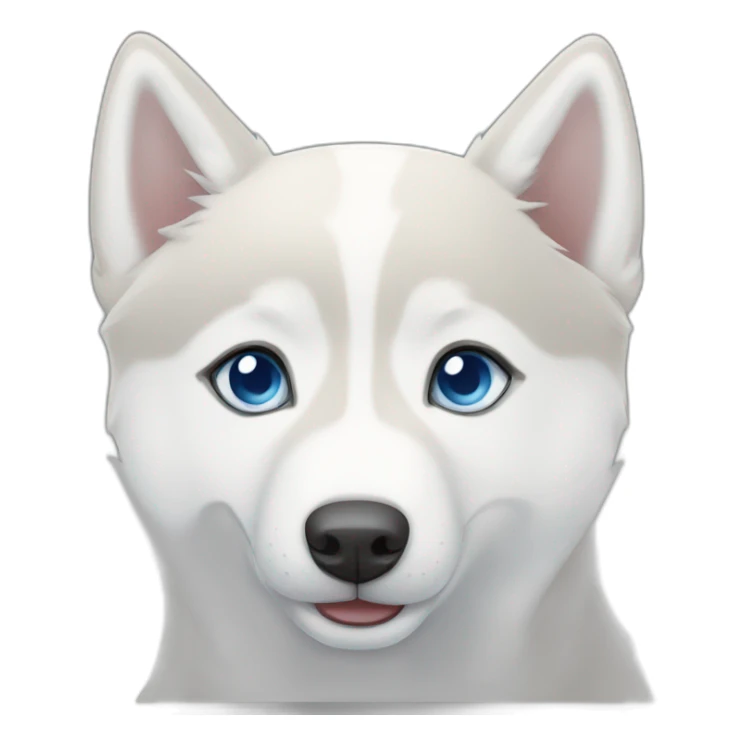 White Siberian husky smile  blue eyes short hair sticker