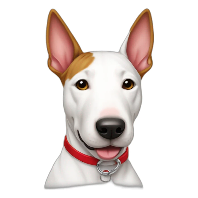 Bullterrier with collar a red sticker