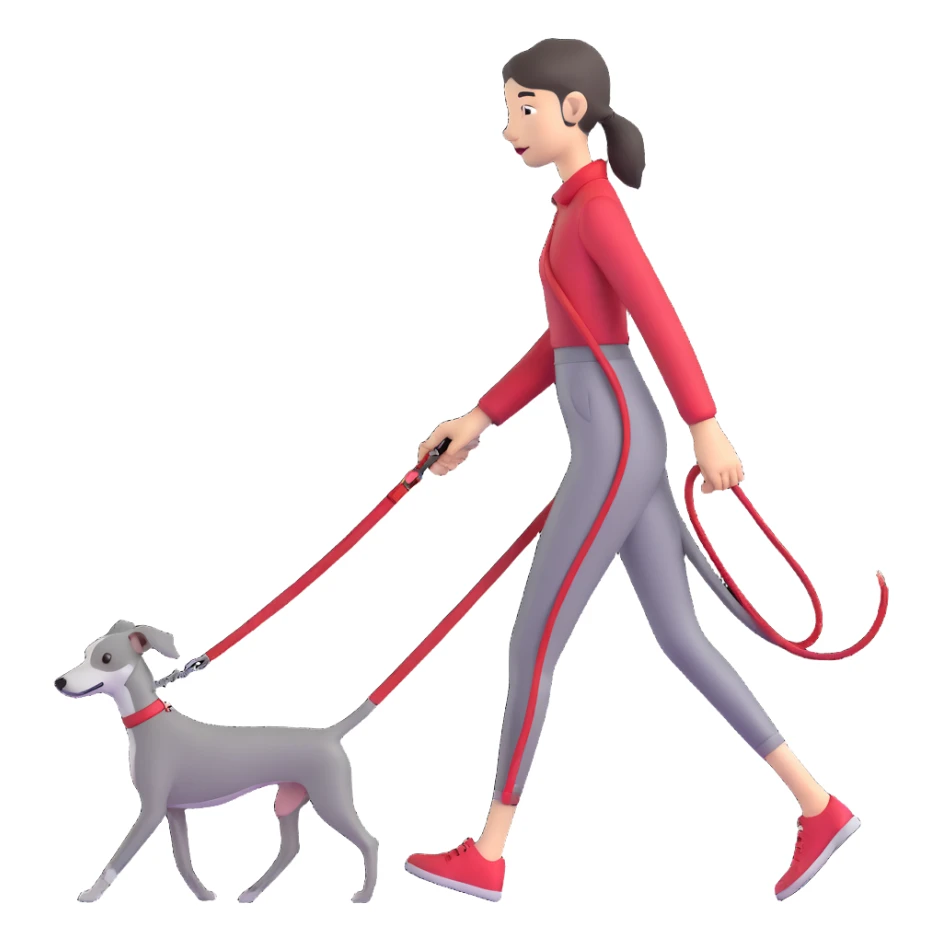 Beautiful Asian girl walking a completely solid grey Italian greyhound with a grey nose on a simple red leash, no white markings anywhere, pure grey dog sticker