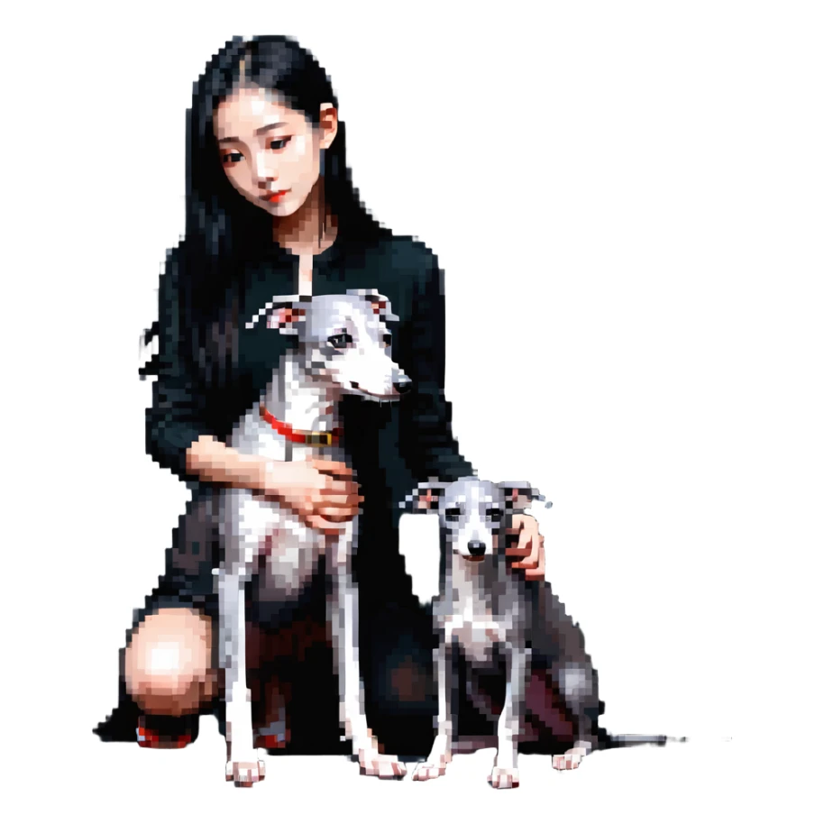Slim Chinese girl with long black hair petting completely solid grey Italian greyhound with absolutely no white markings anywhere sticker