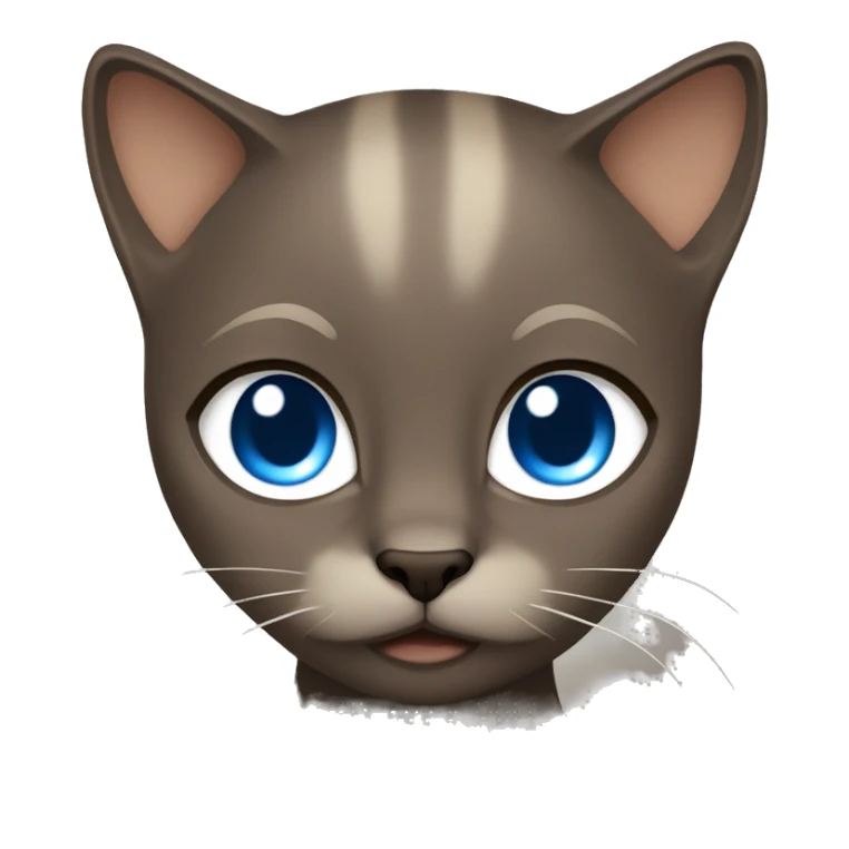 Dark Brown face - beige body and ears female siamise cat with blue eyes  sticker