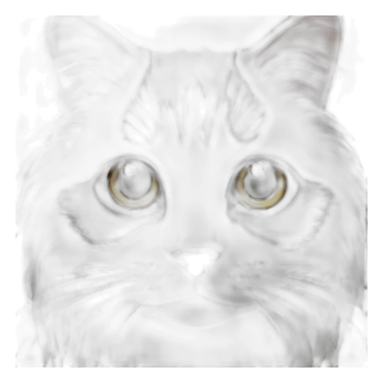 Black and white cat with long hair sticker