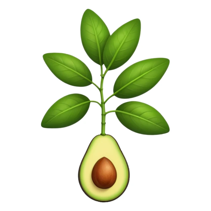 young avocado plant with two leaves sticker