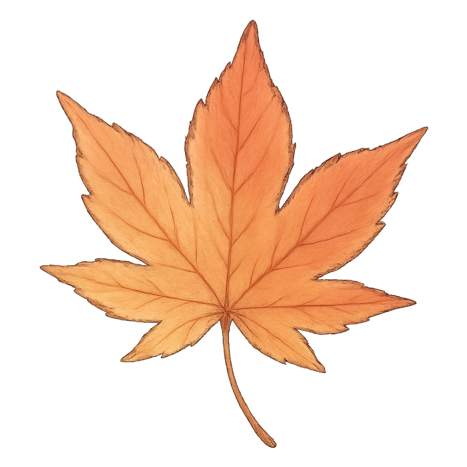 a maple leaf, Japanese soft pastel hand-drawn, full object, transparent background, with subtle color gradients sticker