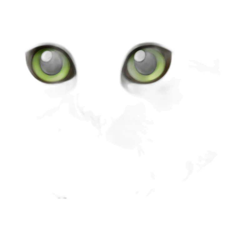 Fat Green eyed American bobtail cat grey and White fur sticker