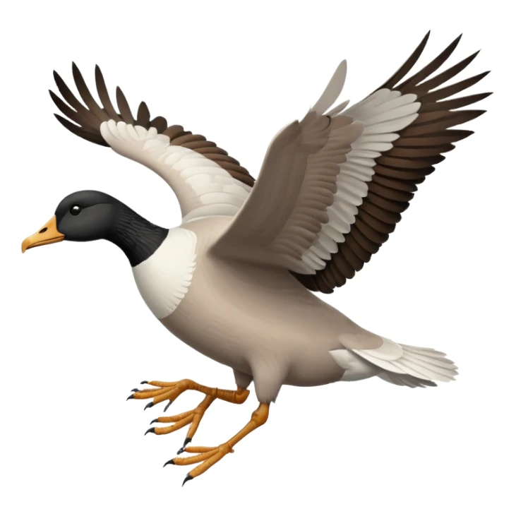 wild goose in flight, with black neck, black feet, brown wings, black-and-white head, white belly sticker
