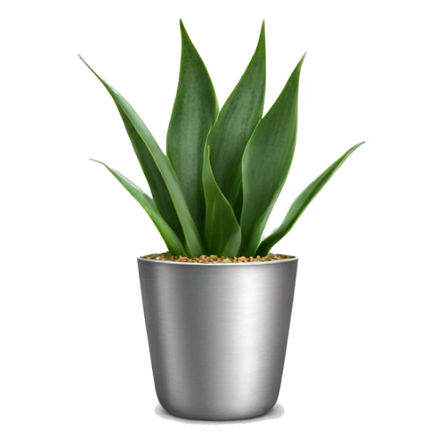 Sansevieria plant in silver pot sticker