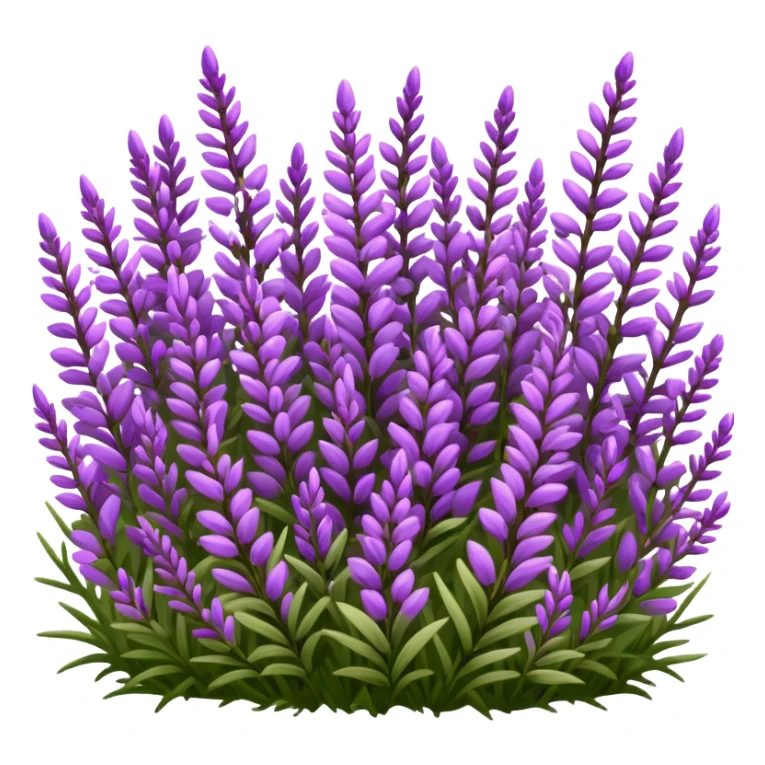 Field of Heather Flower sticker