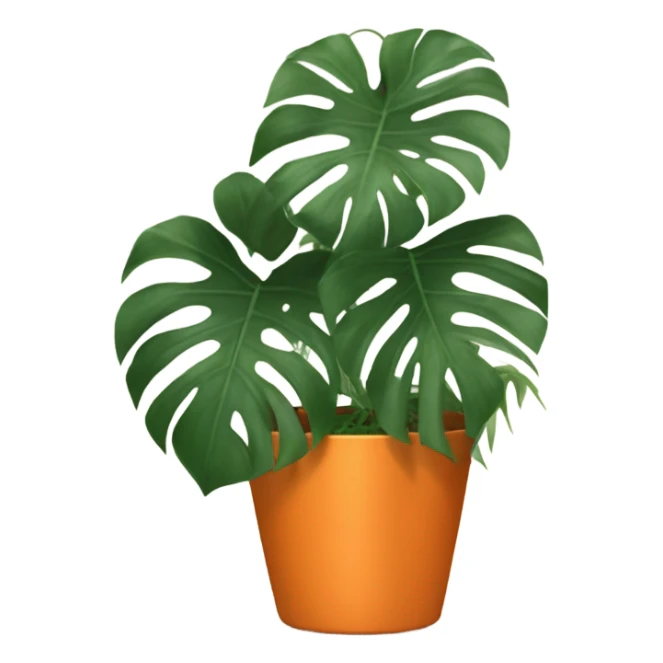 aesthetic monstera in an orange pot against an orange wall sticker