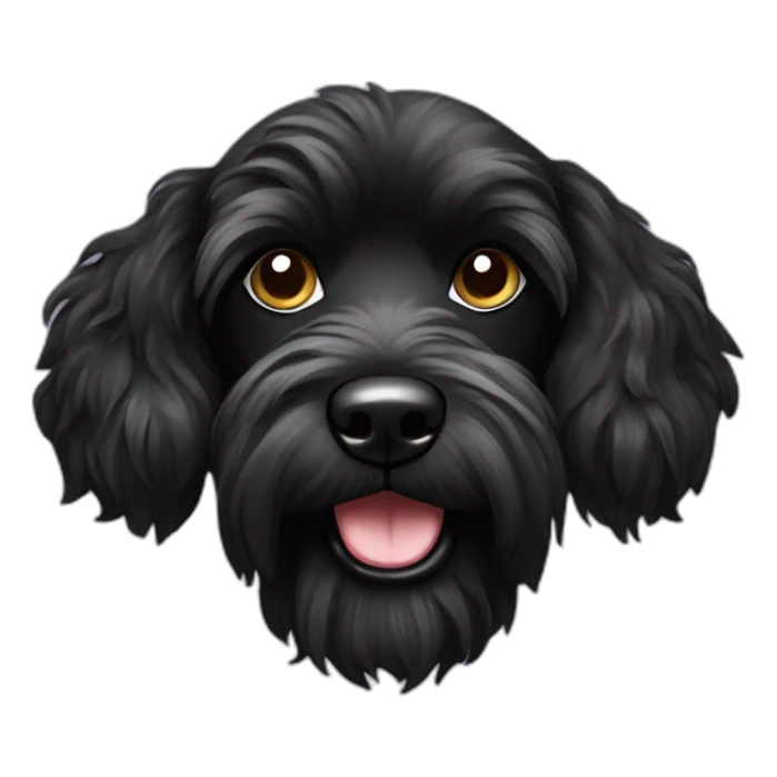 Black Caniche croisé yorshire sticker