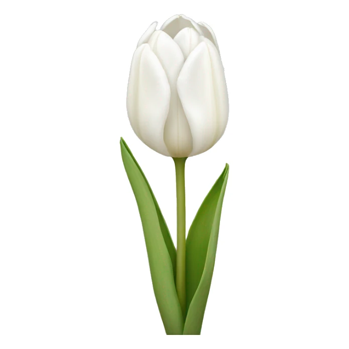 White tulips  sticker