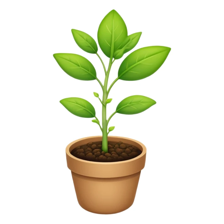 A small seedling plant sprouting, representing reproduction in plants sticker