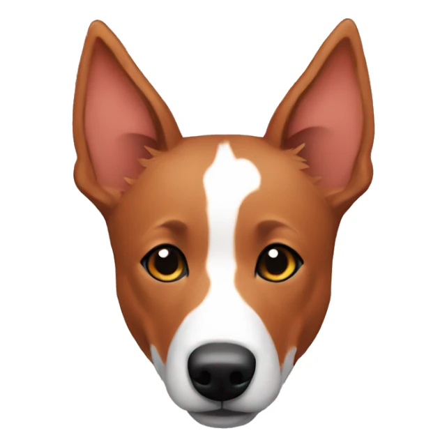 Red heeler sticker