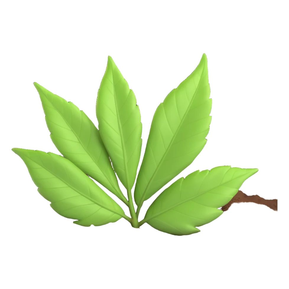 A single fresh green leaf lying on top of soil or ground. Natural lighting, soft shadows sticker