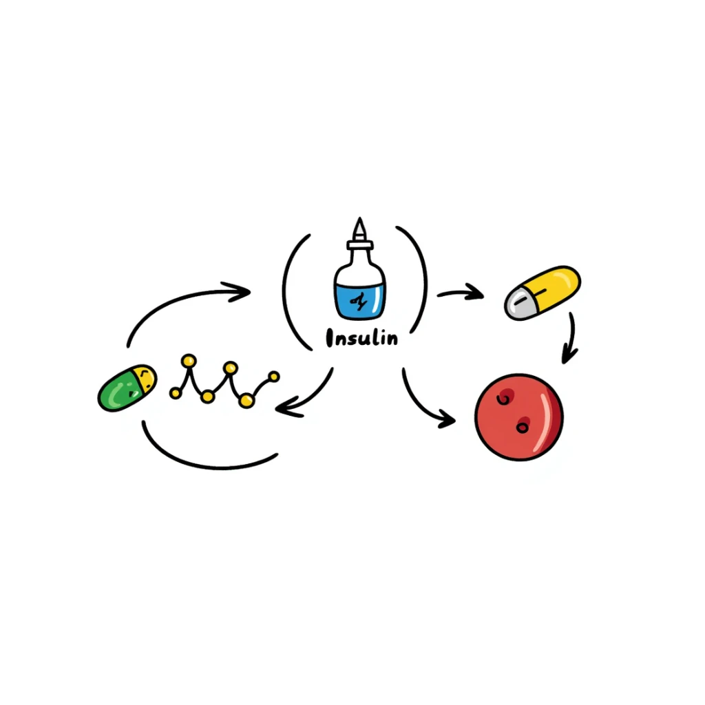 Anti-diabetic visualization with metabolic pathway: colorful flowchart showing blue insulin, green medication pills, yellow glucose molecules, and red blood cells. Hand-drawn educational diagram with arrows showing glucose regulation and insulin sensitivity improvement. sticker