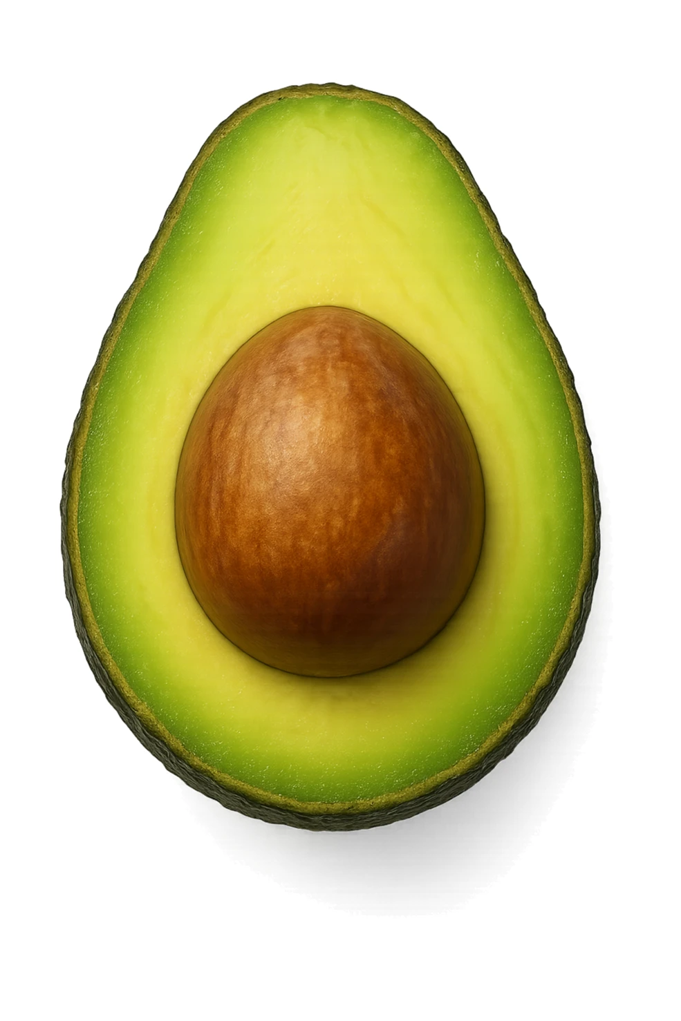 avocado visti dall'alto iperrealistiche 4k sticker