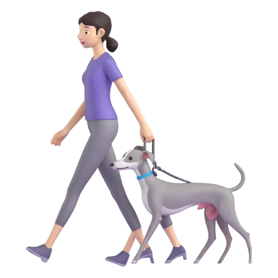 Beautiful Asian girl walking a completely solid grey Italian greyhound with a grey nose, no white markings anywhere, no white on the nose, pure grey dog sticker