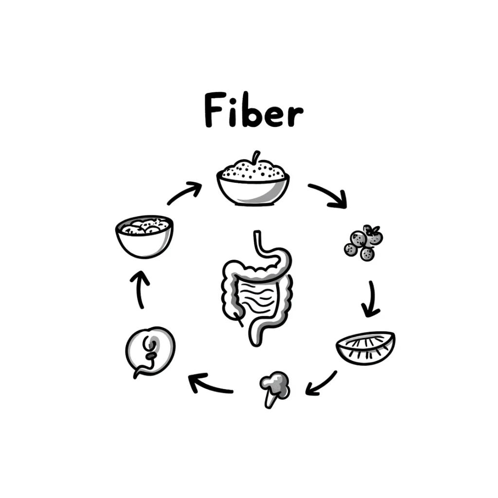 Hand-drawn doodle showing various fiber-rich foods like oats, beans, apples, berries, and broccoli with arrows pointing to a healthy intestine, with text showing 'Fiber' sticker