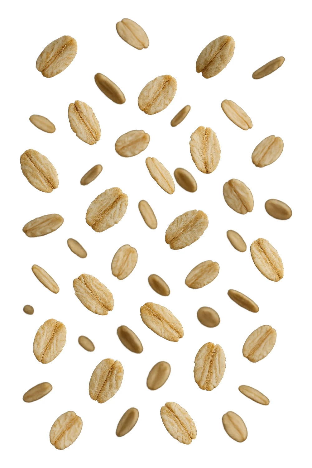 fiocchi di avena fluttuano in aria, iperrealistici 4k sticker