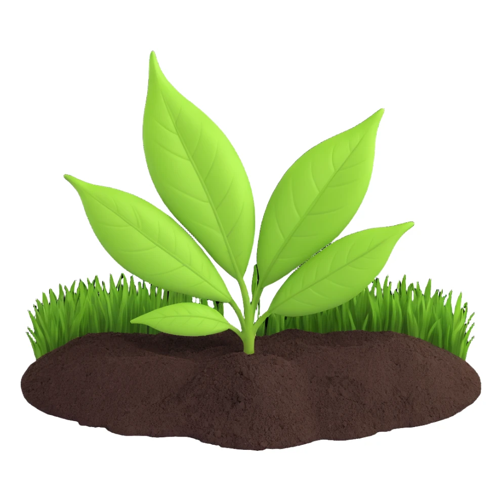 A fresh green leaf placed on soil or grass, clearly above the ground. sticker