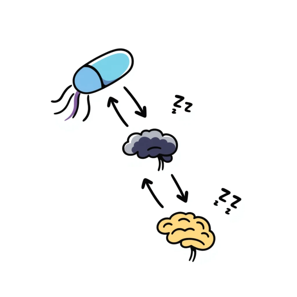 Hand-drawn sedative medication concept: blue pill releasing purple calming waves toward a yellow brain that's gradually turning dark blue (sleeping). Small ZZZ sleep icons floating above. Simple diagram with arrows showing sedative pathway from pill to sleep state. sticker