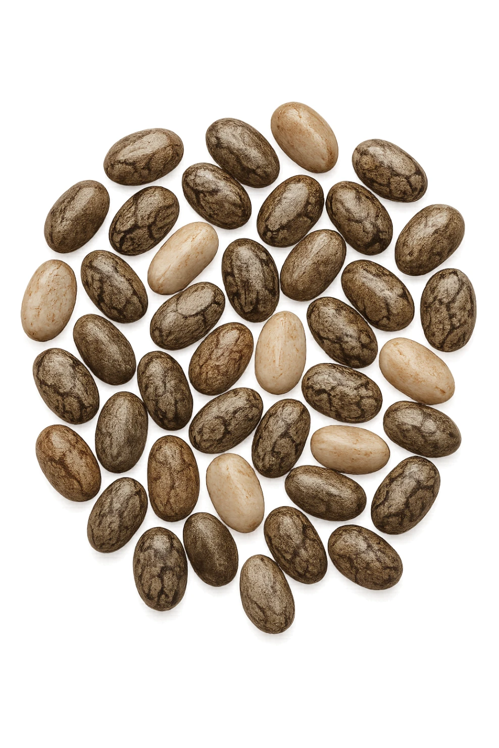 semi di chia visti dall'alto sticker