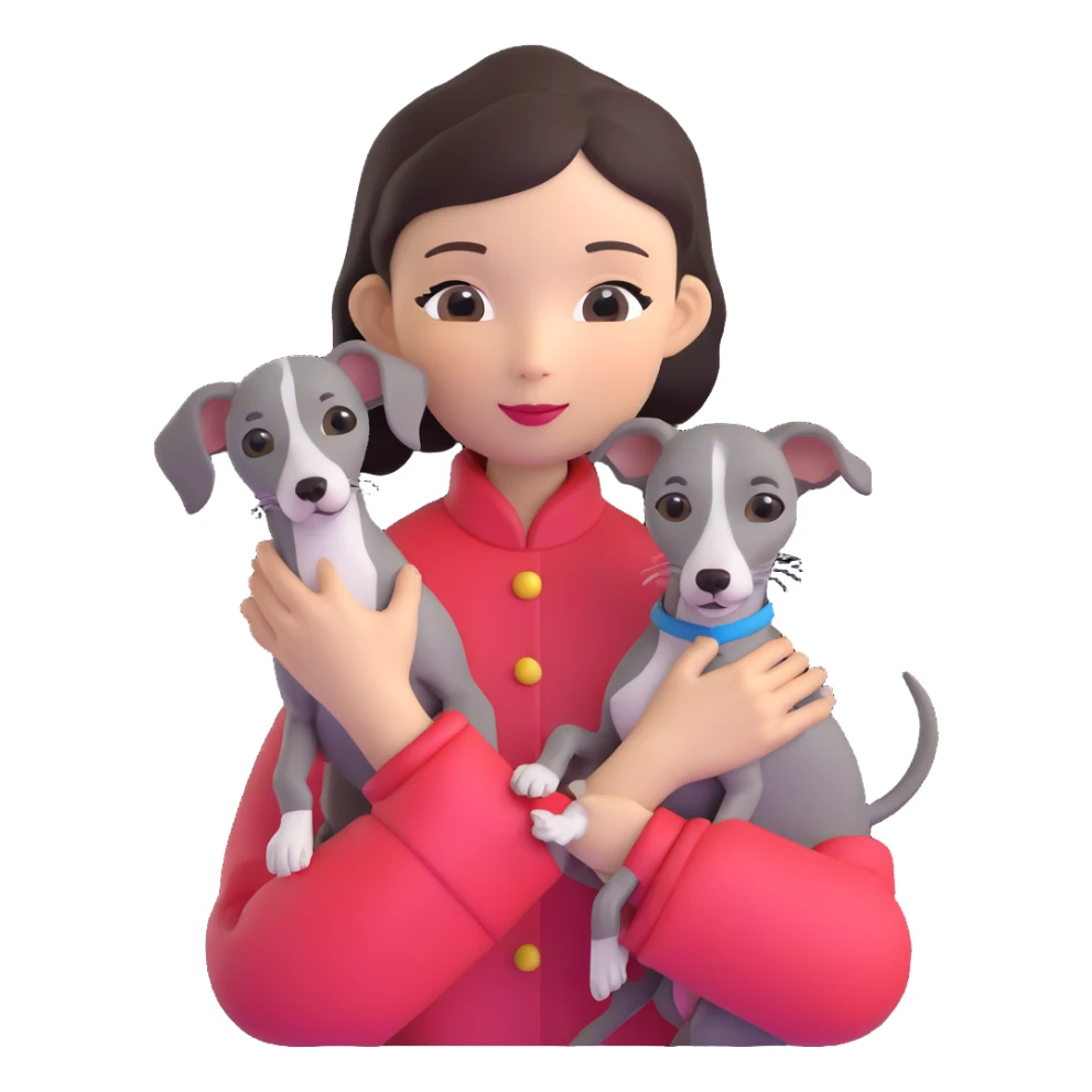 Chinese girl holding all grey Italian greyhound sticker