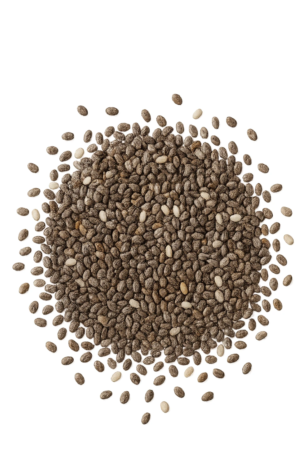 semi di chia visti dall'alto sticker