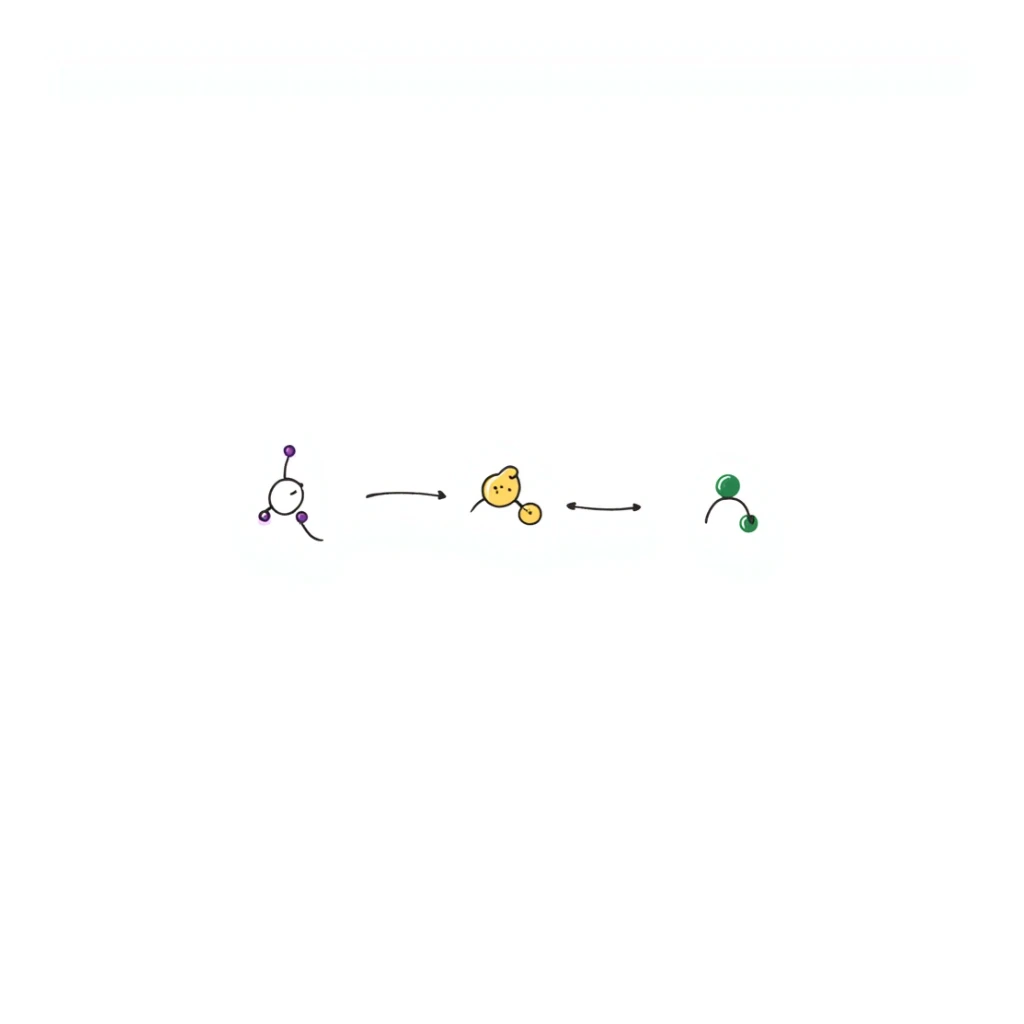 Organized hormone action sequence: three-panel hand-drawn diagram showing 1) purple hormone molecule icon, 2) yellow receptor binding event, and 3) green cellular response. Clean layout with simple arrows connecting events and minimal clean design. sticker