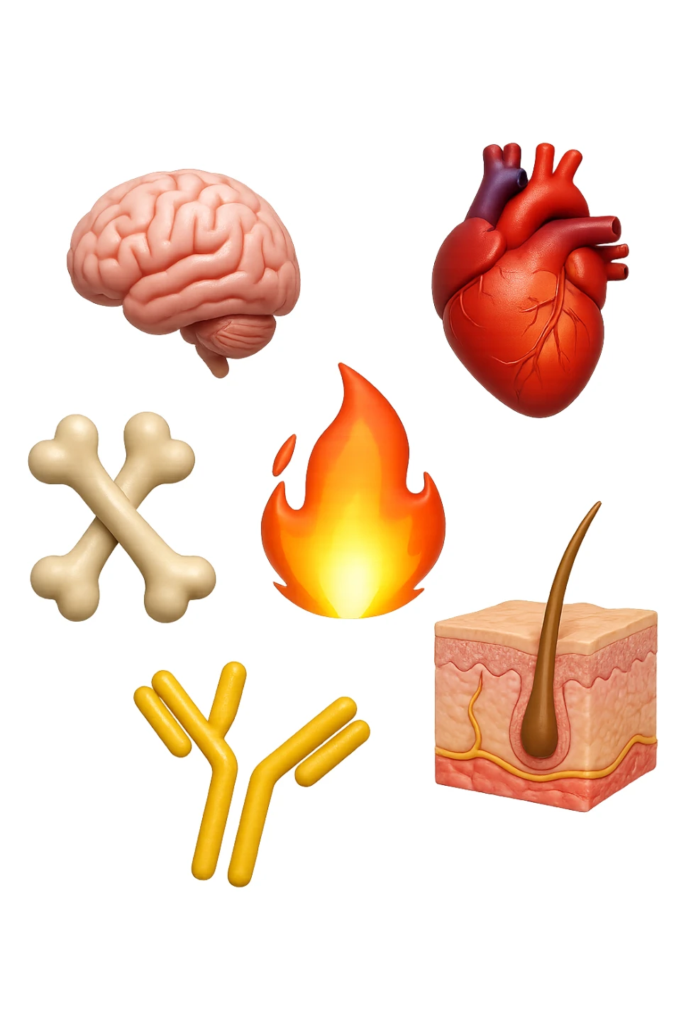 EMOJI STILE IPHONE 3D DI cervello, ossa, cuore, porzione di epidermide e cellule di anticorpi che girano in tondo, al centro di questi elementi c'è una fiamma 3d  FALLO MOLTO REALISTICO IN 3D sticker