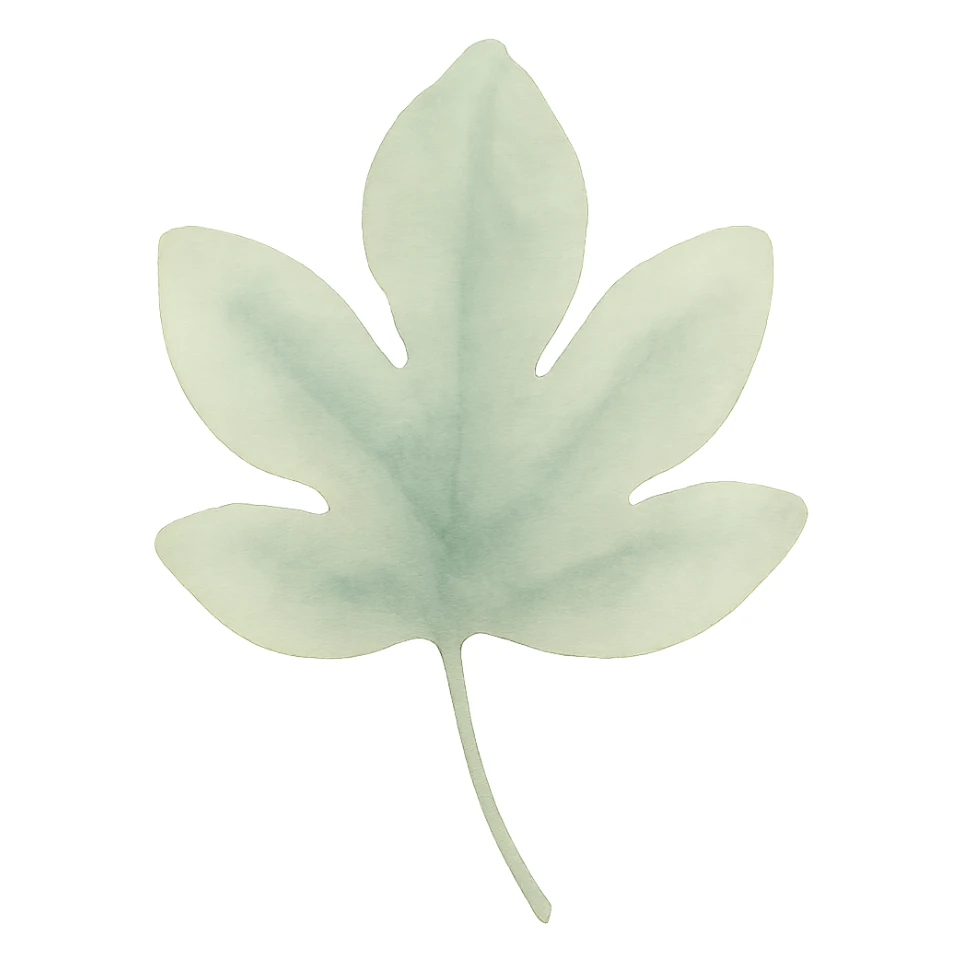 watercolor illustration of a leaf, soft green tones, gentle gradients sticker