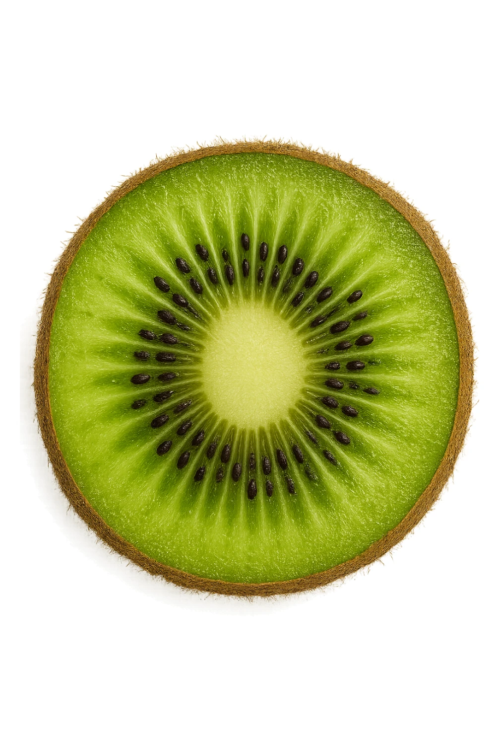 kiwi visto dall'alto, iperrealistiche 4k sticker