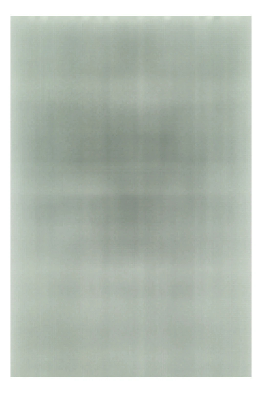 bodybuilder fa squat con bilanciere  sticker