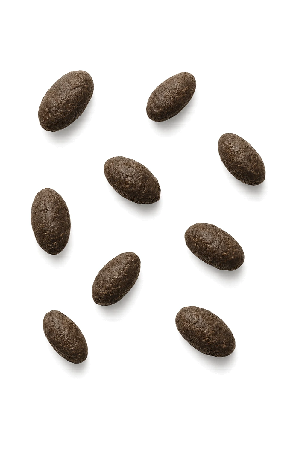 feci di animale a pallini viste dall'alto, isolate su sfondo bianco sticker