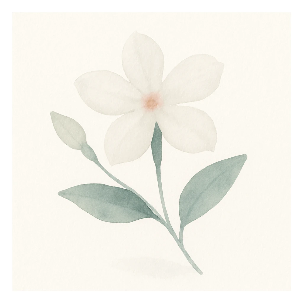 syrian jasmine flower, stylized, soft watercolor effect sticker