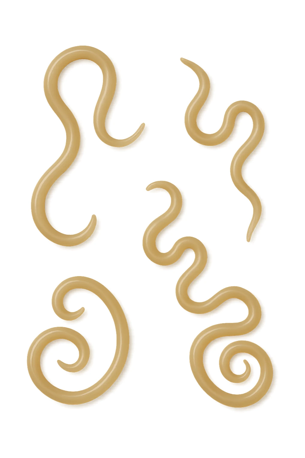 tenia intestinali senza sfondo sticker