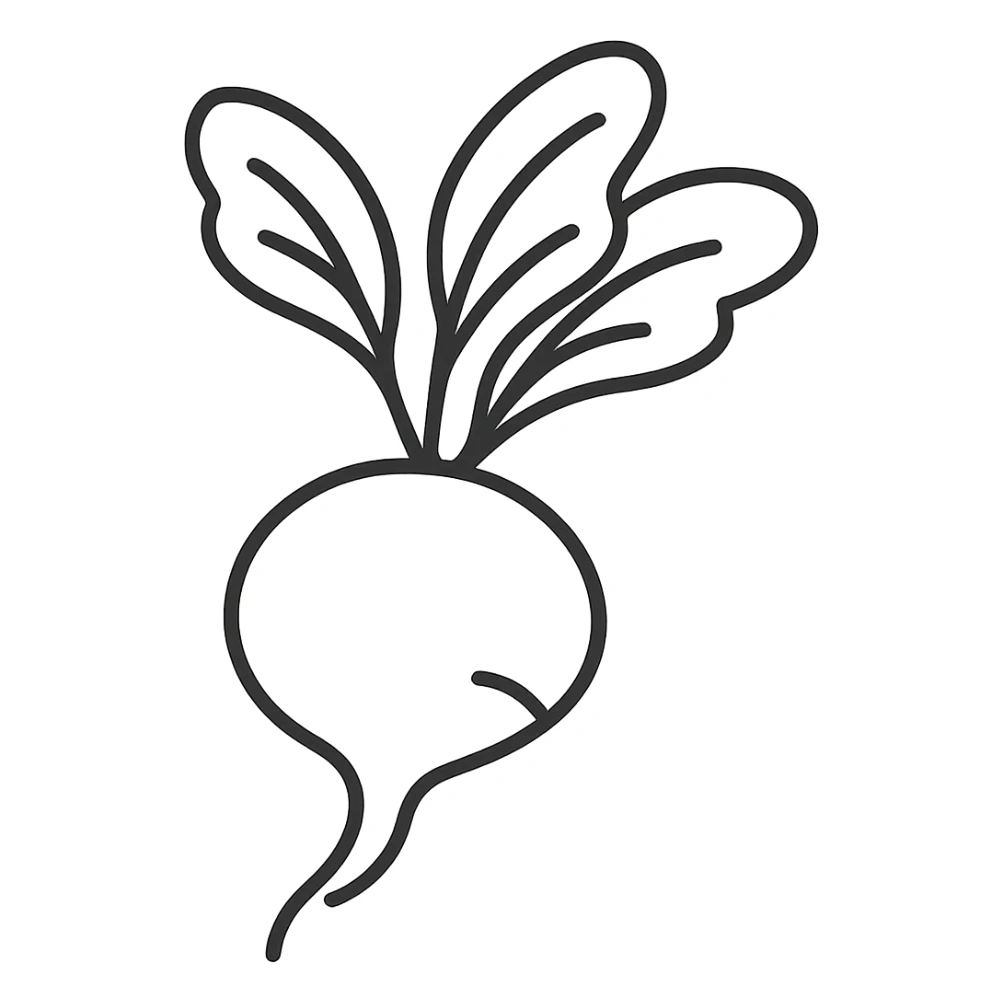 Make the background fully transparent while preserving the style and details of the radish. sticker